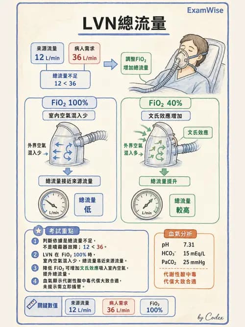 呼吸治療師 - 氣體輸送系統與氧氣治療 - AI 圖文解析預覽