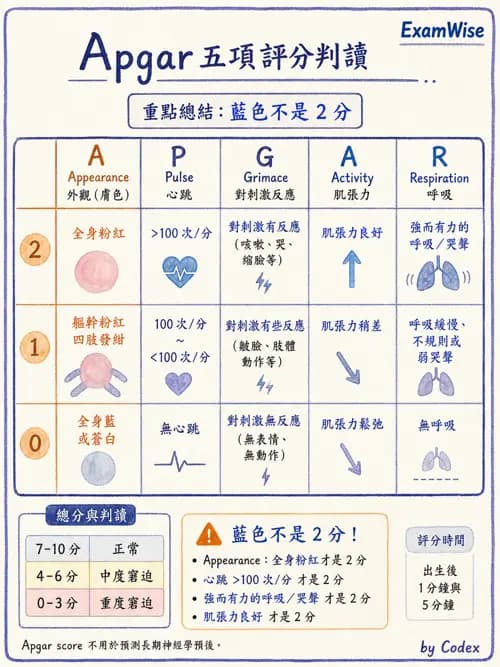 呼吸治療師 - 呼吸治療臨床作業與身體評估 - AI 圖文解析預覽