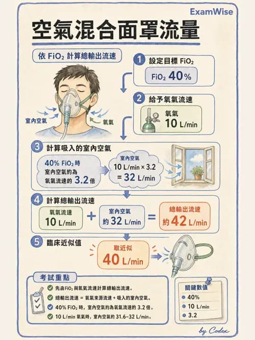 呼吸治療師 - 氣體輸送系統與氧氣治療 - AI 圖文解析預覽