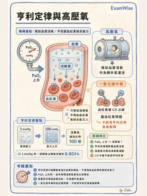 呼吸治療師 - 高壓氧治療 - AI 圖文解析預覽