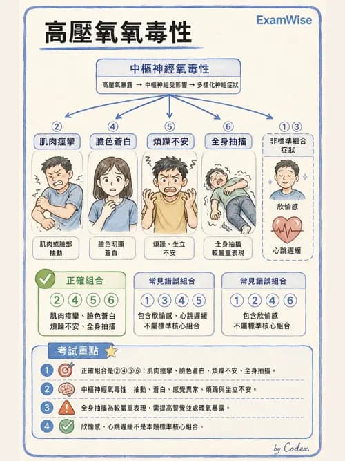 呼吸治療師 - 高壓氧治療 - AI 圖文解析預覽