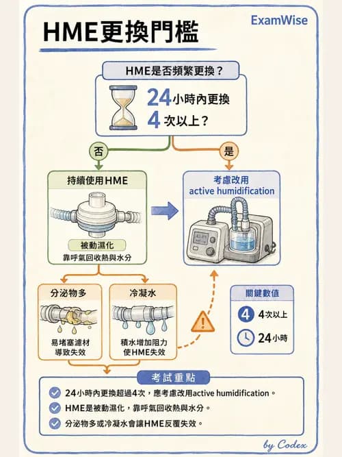 呼吸治療師 - 濕氣與霧氣治療 - AI 圖文解析預覽