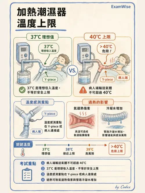 呼吸治療師 - 濕氣與霧氣治療 - AI 圖文解析預覽