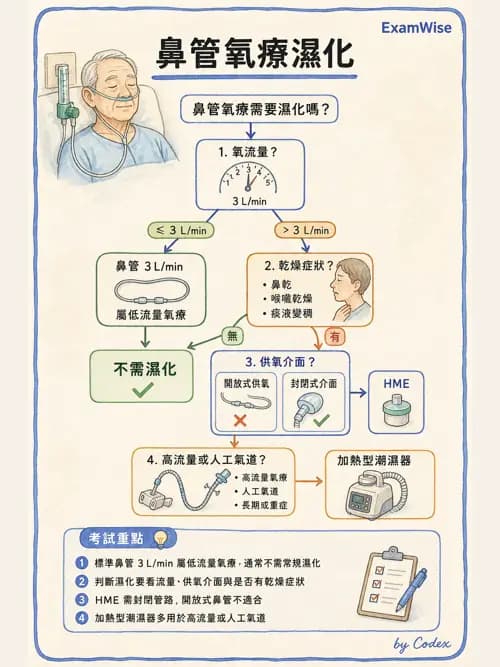 呼吸治療師 - 濕氣與霧氣治療 - AI 圖文解析預覽