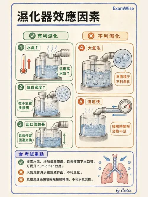 呼吸治療師 - 濕氣與霧氣治療 - AI 圖文解析預覽