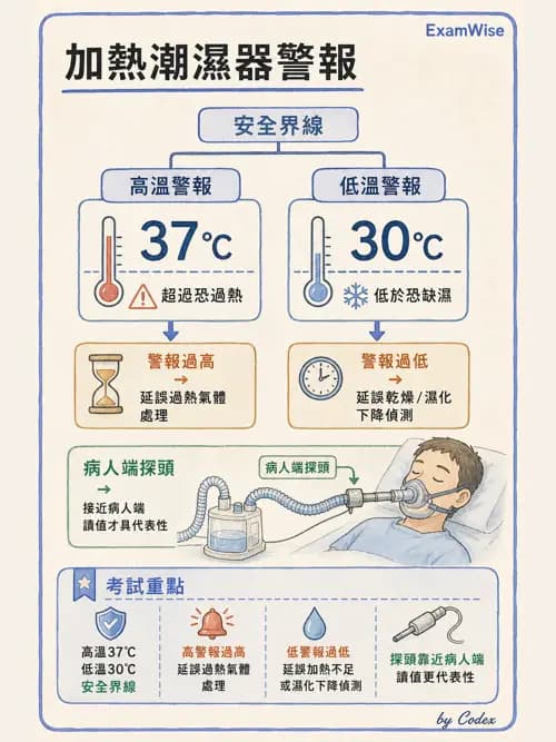 呼吸治療師 - 濕氣與霧氣治療 - AI 圖文解析預覽