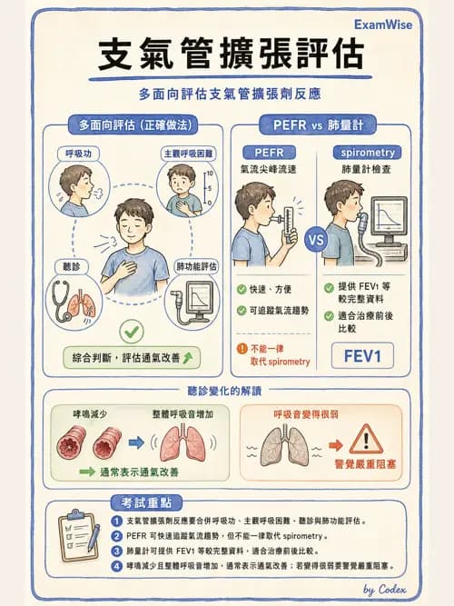 呼吸治療師 - 濕氣與霧氣治療 - AI 圖文解析預覽