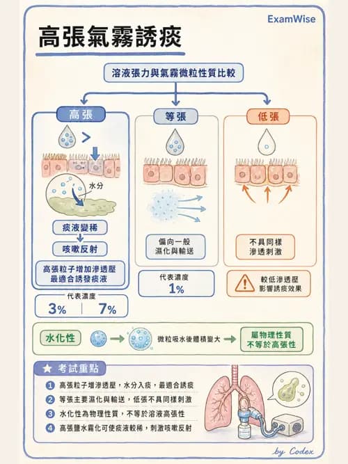 呼吸治療師 - 濕氣與霧氣治療 - AI 圖文解析預覽