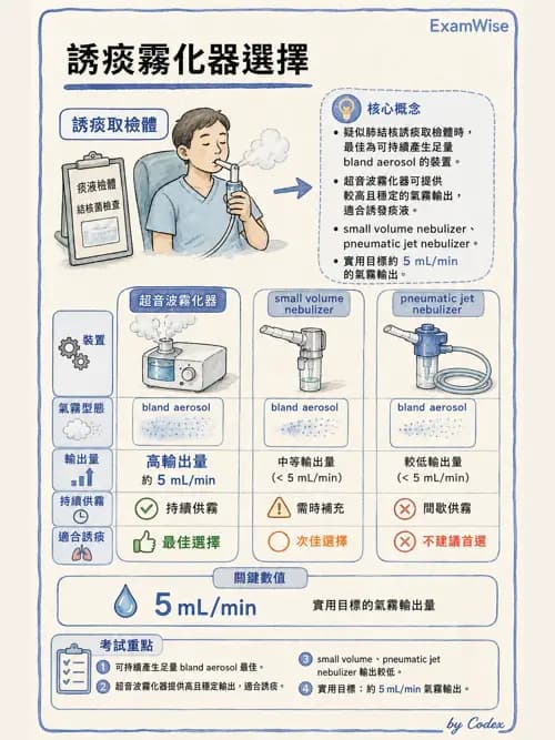 呼吸治療師 - 濕氣與霧氣治療 - AI 圖文解析預覽