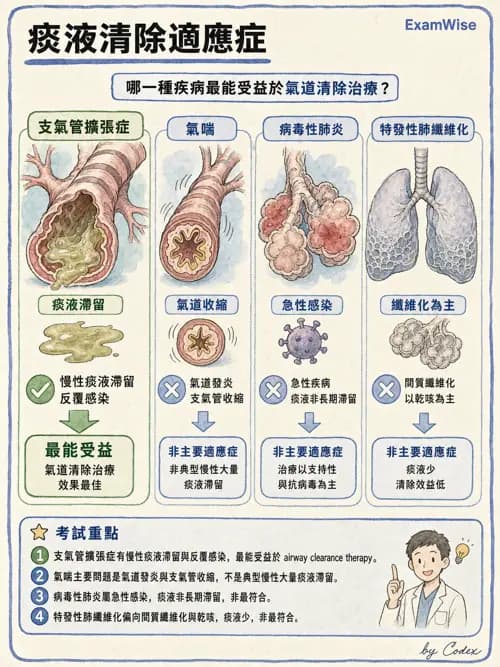 呼吸治療師 - 痰液清除與擴張治療 - AI 圖文解析預覽