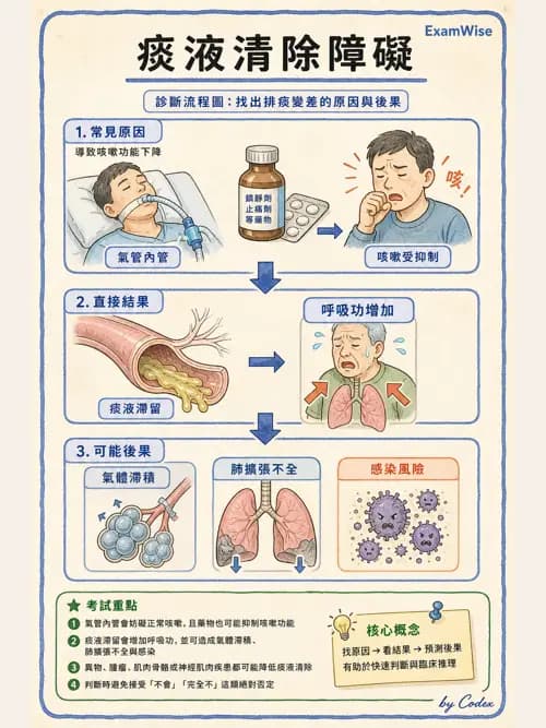 呼吸治療師 - 痰液清除與擴張治療 - AI 圖文解析預覽