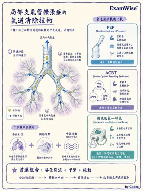 呼吸治療師 - 痰液清除與擴張治療 - AI 圖文解析預覽