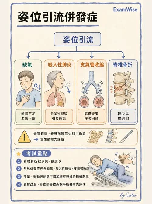 呼吸治療師 - 痰液清除與擴張治療 - AI 圖文解析預覽