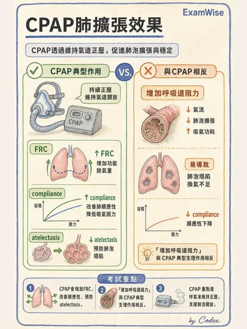 呼吸治療師 - 痰液清除與擴張治療 - AI 圖文解析預覽