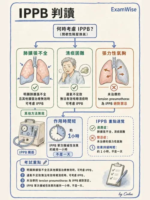 呼吸治療師 - 痰液清除與擴張治療 - AI 圖文解析預覽