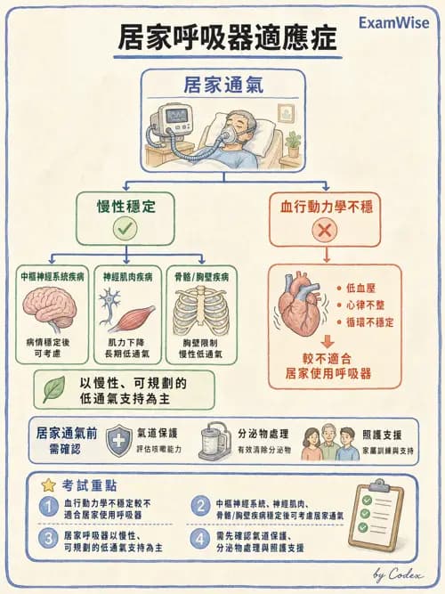 呼吸治療師 - 長期呼吸照護 - AI 圖文解析預覽