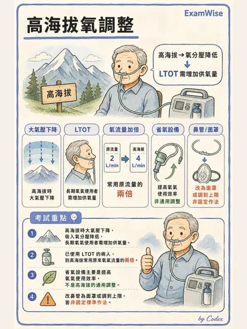 呼吸治療師 - 長期呼吸照護 - AI 圖文解析預覽