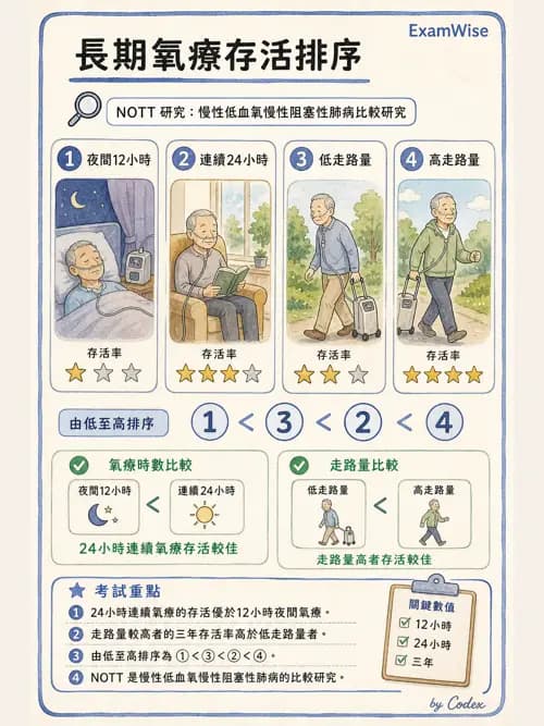 呼吸治療師 - 長期呼吸照護 - AI 圖文解析預覽