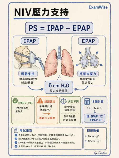 呼吸治療師 - 長期呼吸照護 - AI 圖文解析預覽
