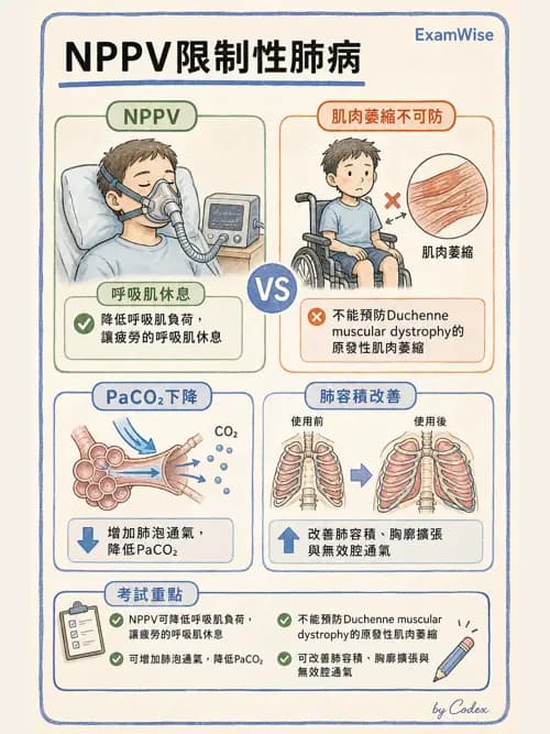 呼吸治療師 - 長期呼吸照護 - AI 圖文解析預覽