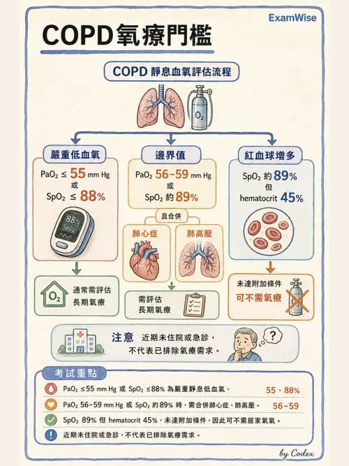 呼吸治療師 - 長期呼吸照護 - AI 圖文解析預覽