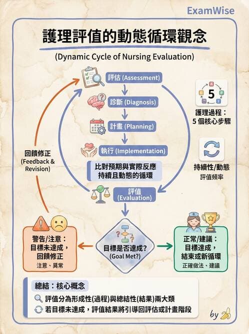 護理師 - 護理過程(評估至評值) - AI 圖文解析預覽