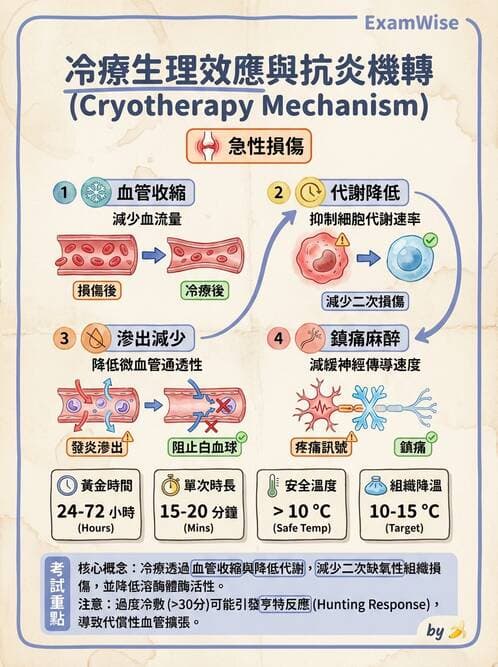 護理師 - 冷熱療法 - AI 圖文解析預覽