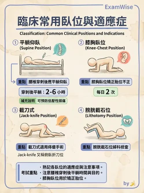 護理師 - 體位擺位與安全照護 - AI 圖文解析預覽