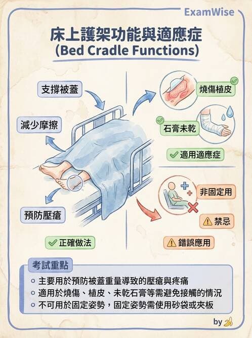 護理師 - 個人衛生與舒適照護 - AI 圖文解析預覽