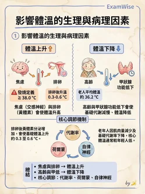 護理師 - 體溫與呼吸評估 - AI 圖文解析預覽
