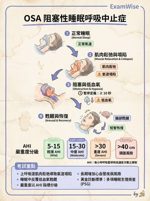 護理師 - 個人衛生與舒適照護 - AI 圖文解析預覽