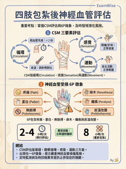護理師 - 運動功能與傷口護理 - AI 圖文解析預覽