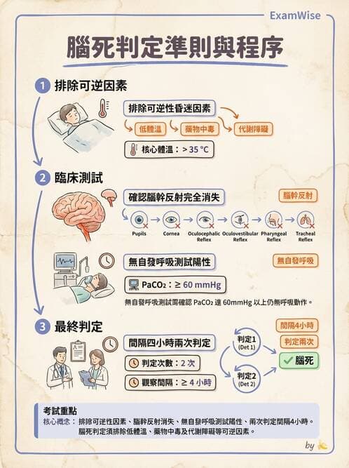 護理師 - 臨終與哀傷護理 - AI 圖文解析預覽