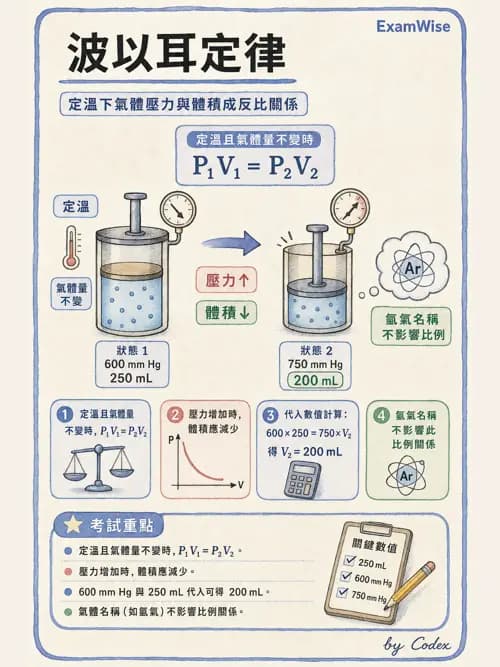 呼吸治療師 - 氣體物理學 - AI 圖文解析預覽