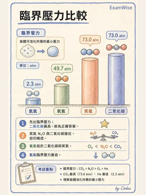 呼吸治療師 - 氣體物理學 - AI 圖文解析預覽
