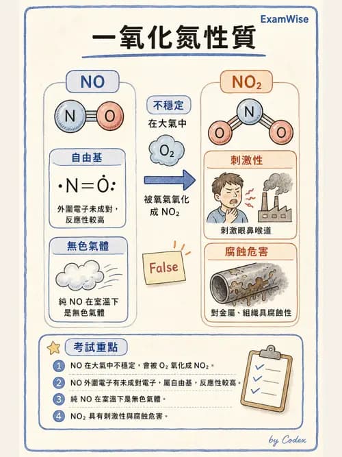 呼吸治療師 - 醫療氣體製造與儲存 - AI 圖文解析預覽