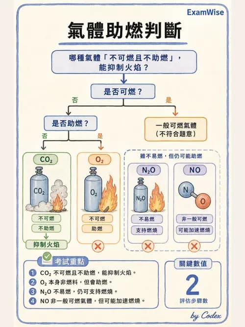 呼吸治療師 - 醫療氣體製造與儲存 - AI 圖文解析預覽
