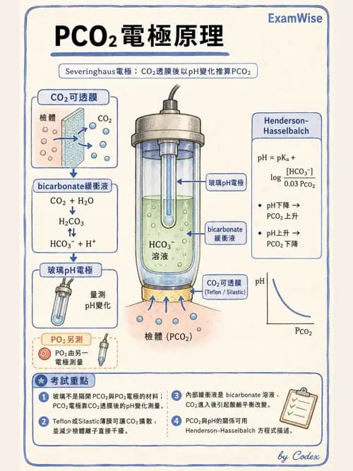 呼吸治療師 - 動脈血氣體分析設備 - AI 圖文解析預覽