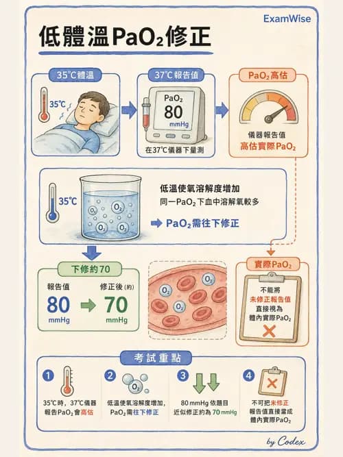 呼吸治療師 - 動脈血氣體分析設備 - AI 圖文解析預覽