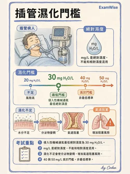 呼吸治療師 - 濕氣治療設備 - AI 圖文解析預覽