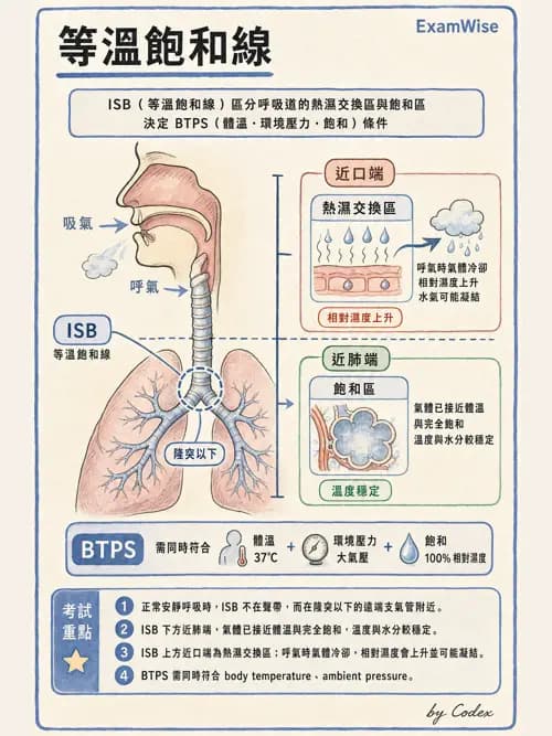 呼吸治療師 - 濕氣治療設備 - AI 圖文解析預覽