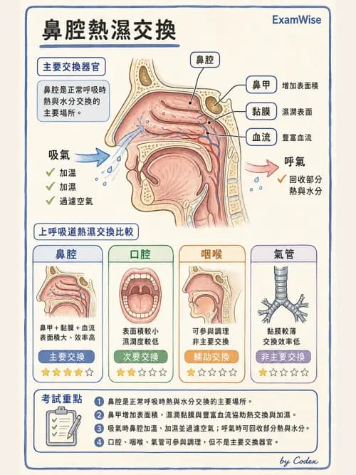 呼吸治療師 - 濕氣治療設備 - AI 圖文解析預覽