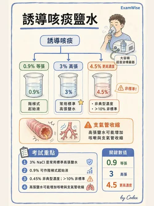 呼吸治療師 - 吸入性藥物噴霧設備 - AI 圖文解析預覽