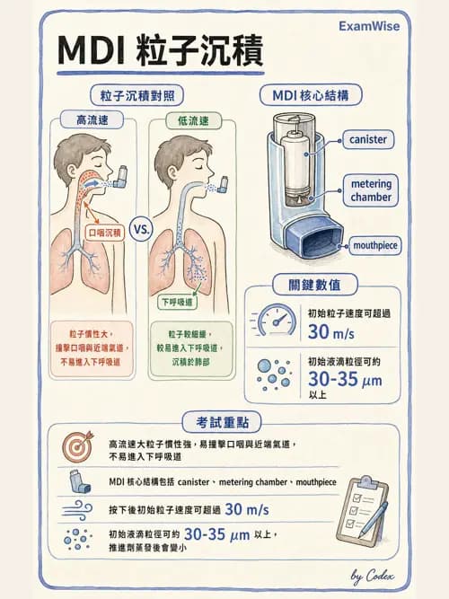 呼吸治療師 - 吸入性藥物噴霧設備 - AI 圖文解析預覽