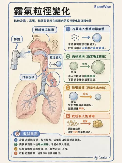 呼吸治療師 - 吸入性藥物噴霧設備 - AI 圖文解析預覽
