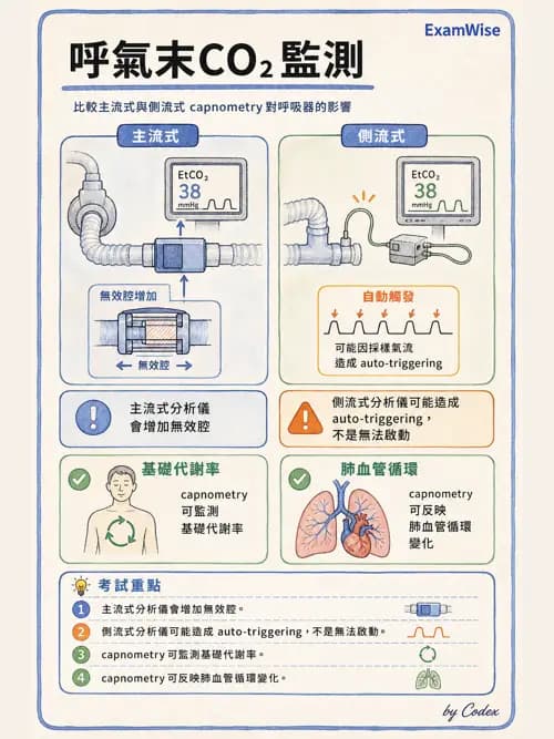 呼吸治療師 - 非侵入性呼吸監測設備 - AI 圖文解析預覽