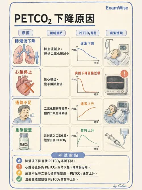 呼吸治療師 - 非侵入性呼吸監測設備 - AI 圖文解析預覽