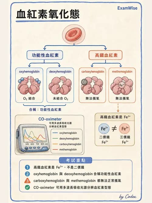 呼吸治療師 - 動脈血氣體分析設備 - AI 圖文解析預覽