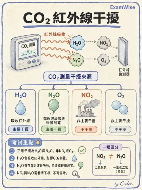 呼吸治療師 - 非侵入性呼吸監測設備 - AI 圖文解析預覽