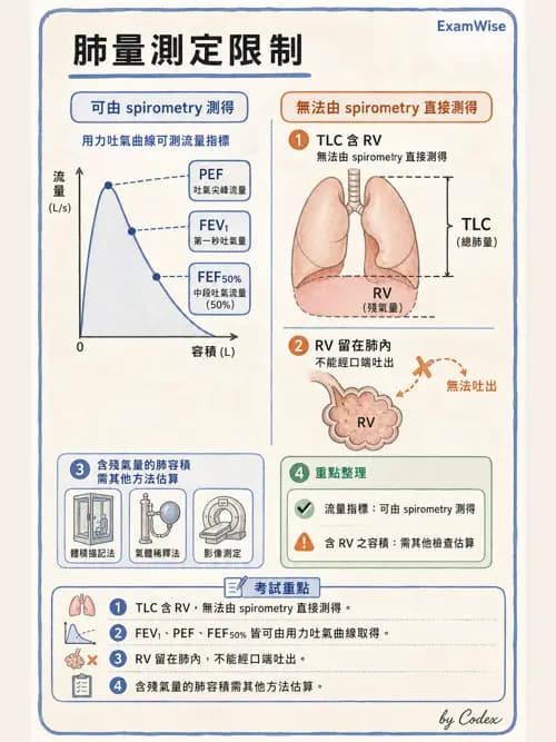 呼吸治療師 - 呼吸機械力學監測 - AI 圖文解析預覽